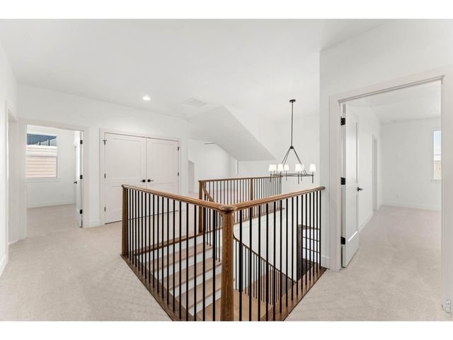 832 Clydesdale Dr, Windsor, CO 80550