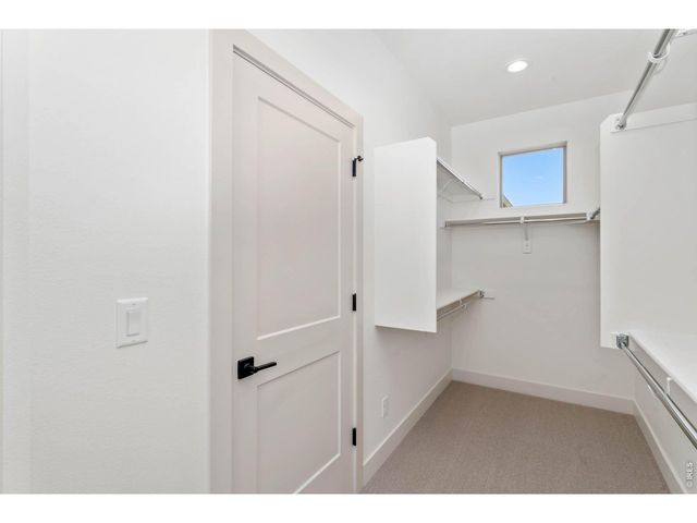 832 Clydesdale Dr, Windsor, CO 80550