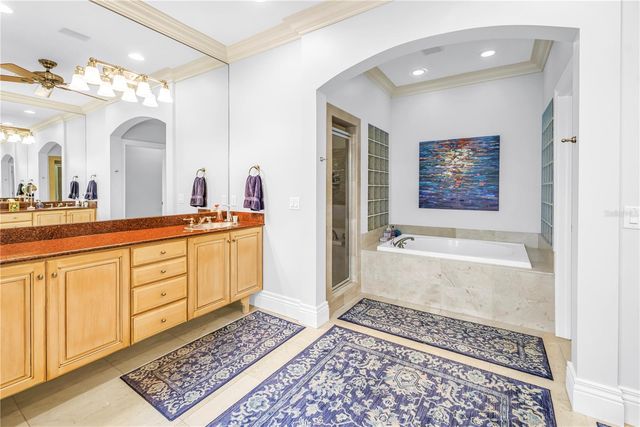 1133 ABBEYS WAY, Tampa, FL 33602