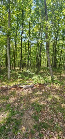 0 Twilight Trl, Dunlap, TN 37327
