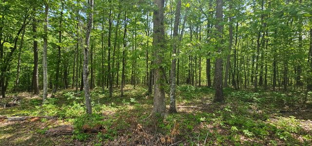 0 Twilight Trl, Dunlap, TN 37327