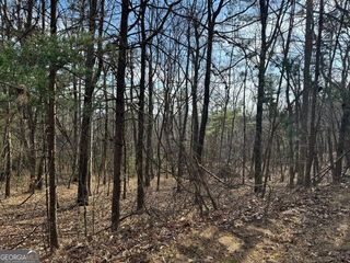 0 Scarlett Pippin Lane #1604, Clarkesville, GA 30523