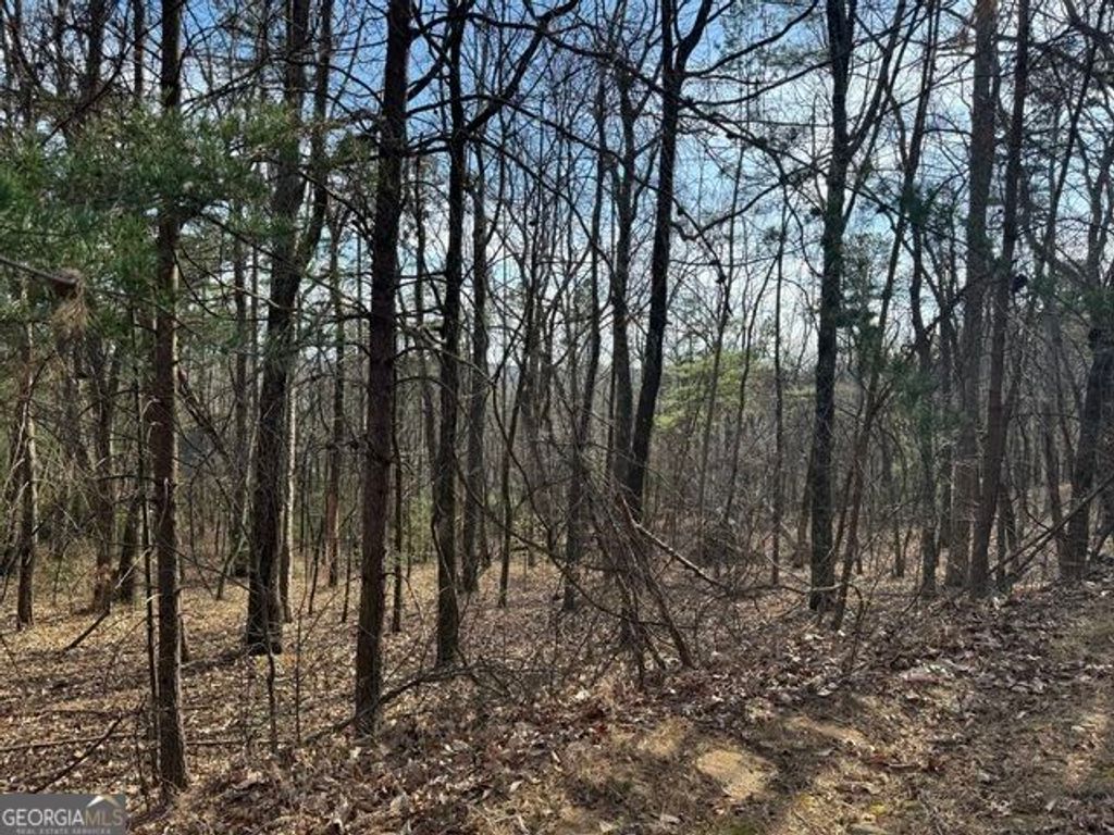 0 Scarlett Pippin Lane #1604, Clarkesville, GA 30523 — exterior