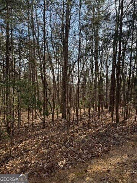 0 Scarlett Pippin Lane #1604, Clarkesville, GA 30523 — photo 2
