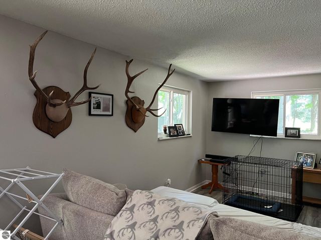 4463 W Grass Lake Road, Lake, MI 48632