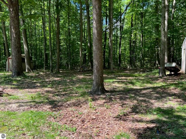 4463 W Grass Lake Road, Lake, MI 48632