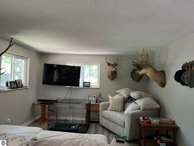 4463 W Grass Lake Road, Lake, MI 48632