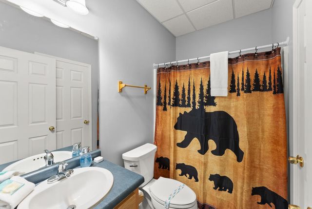 312 Dach Bruecke Gasse, Helen, GA 30545