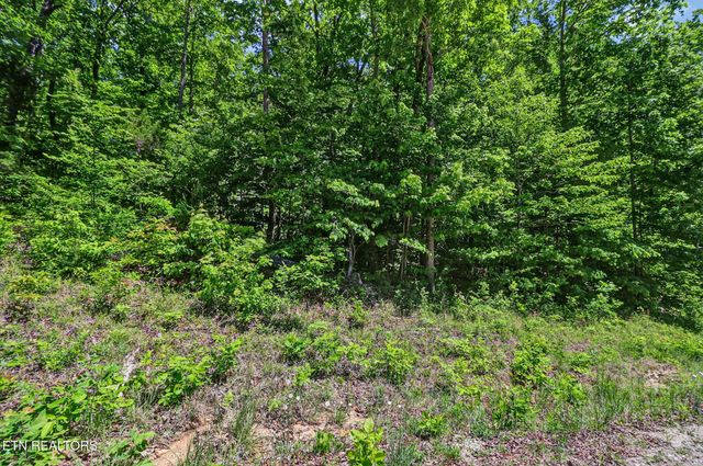 0 Junaluska Hwy, Jamestown, TN 38556
