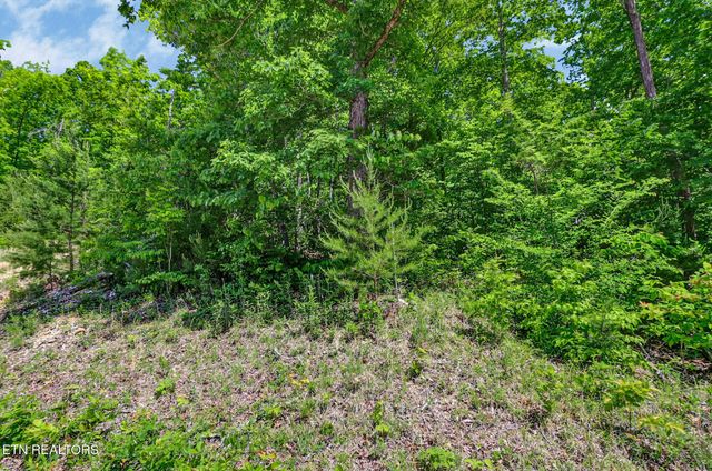 0 Junaluska Hwy, Jamestown, TN 38556