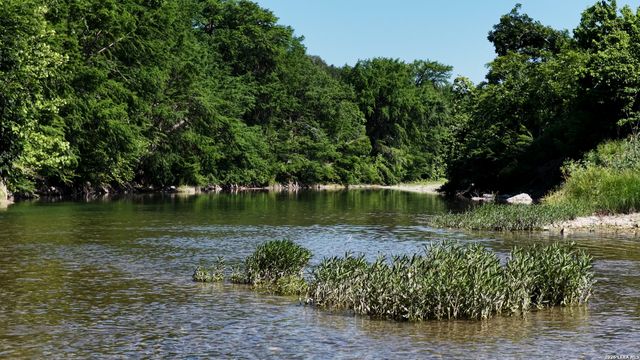 682 Winding River Ln, Spring Branch, TX 78070