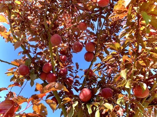 769 Deans Creek Rd, Reedsport, OR 97467