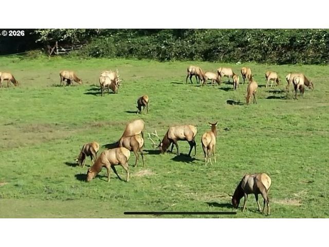 769 Deans Creek Rd, Reedsport, OR 97467