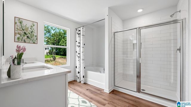705 EMPIRE AVENUE, Chelsea, AL 35043