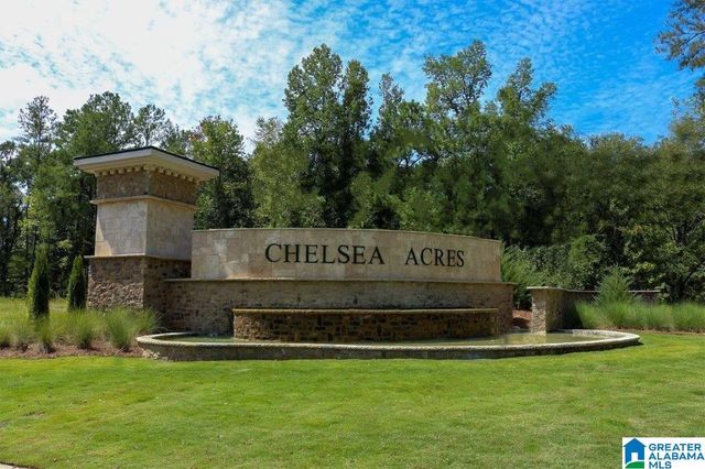 705 EMPIRE AVENUE, Chelsea, AL 35043