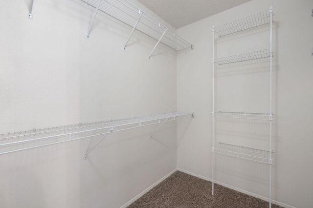 6501 Blue Quail Road NE, Rio Rancho, NM 87144