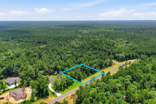16068 Four Hills Rd, Willis, TX 77378