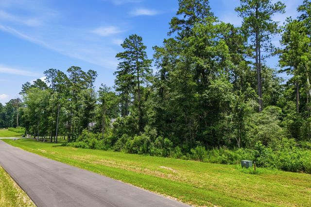 16068 Four Hills Rd, Willis, TX 77378