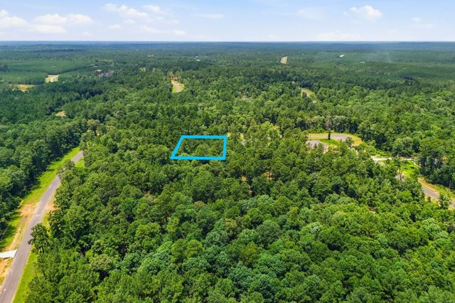 16068 Four Hills Rd, Willis, TX 77378