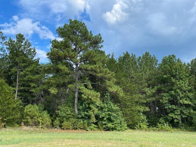 16068 Four Hills Rd, Willis, TX 77378