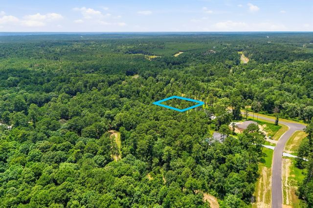 16068 Four Hills Rd, Willis, TX 77378