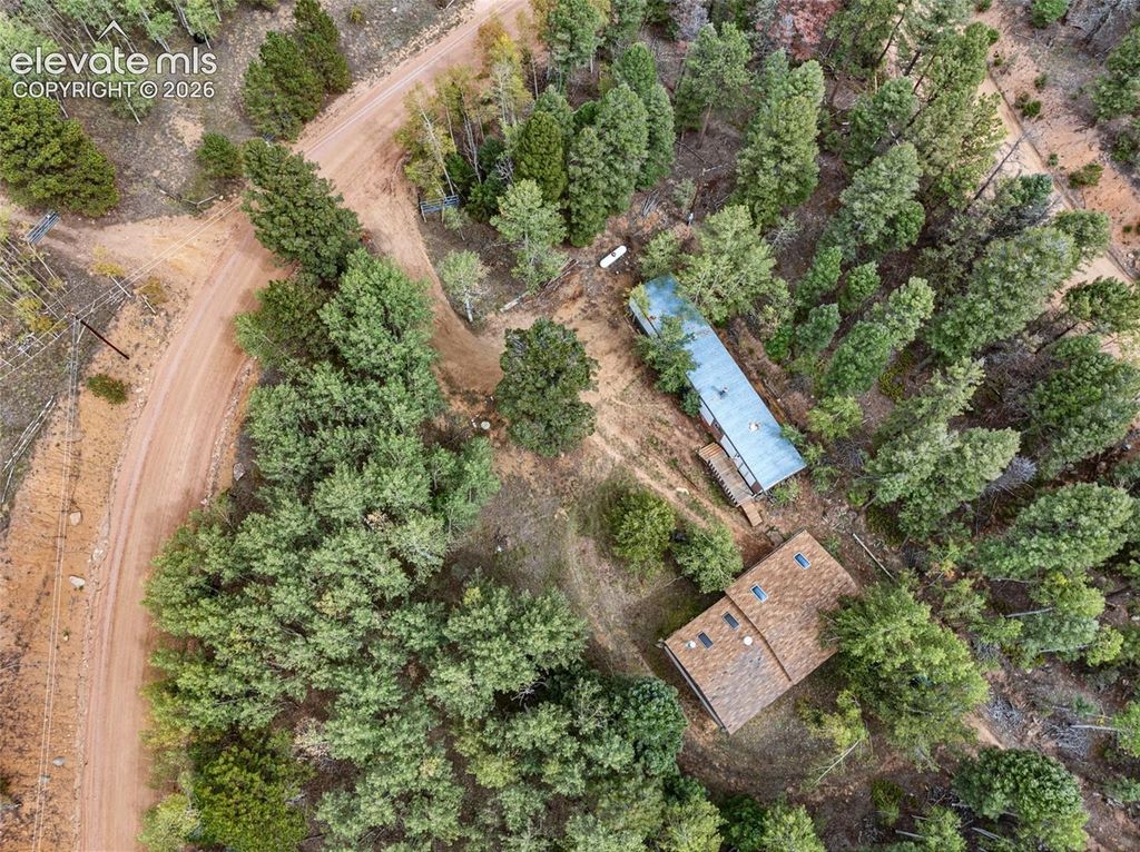 1028 Beaver Creek Drive, Florissant, CO 80816 — exterior