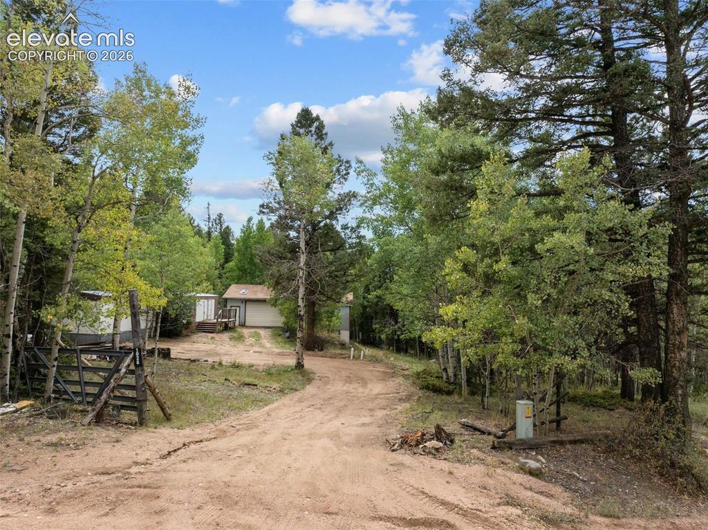 1028 Beaver Creek Drive, Florissant, CO 80816 — photo 3