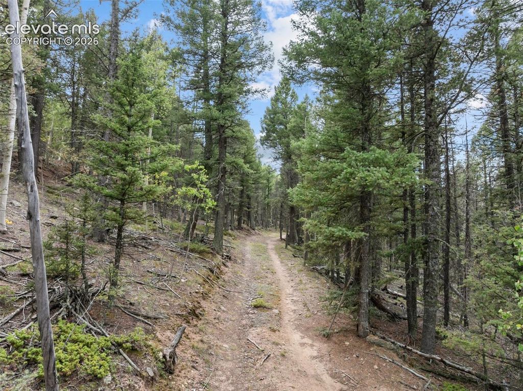1028 Beaver Creek Drive, Florissant, CO 80816 — photo 5