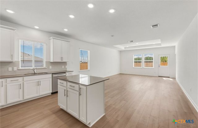1507 Sky Vista Drive, Belton, TX 76513