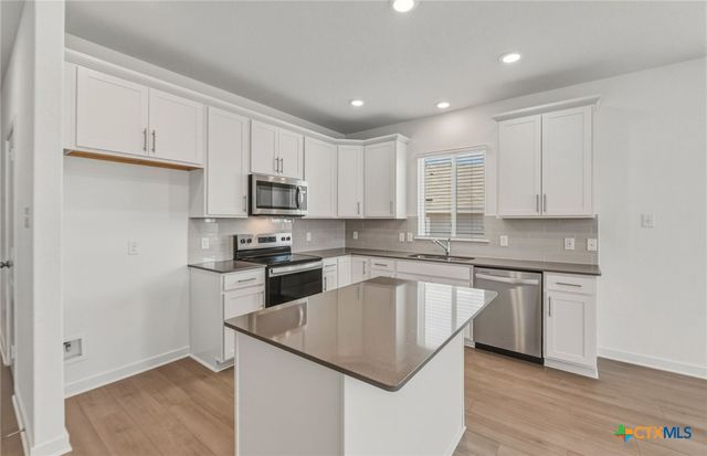 1507 Sky Vista Drive, Belton, TX 76513