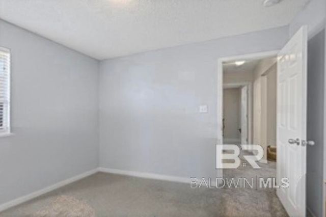 13097 E Concord Drive, Lillian, AL 36549