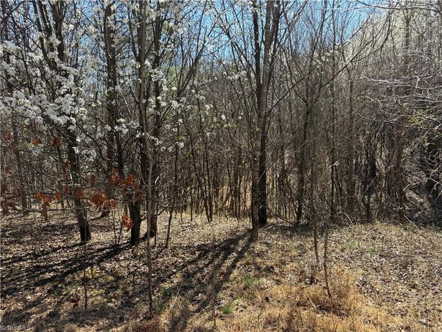 6937 NC Highway 66 S, King, NC 27021
