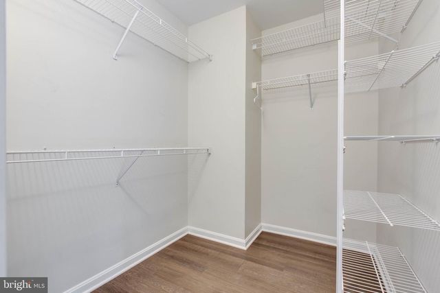 5766 GOLDFINCH CT, Ellicott City, MD 21043