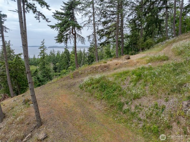 540 Wright Road, Orcas Island, WA 98245