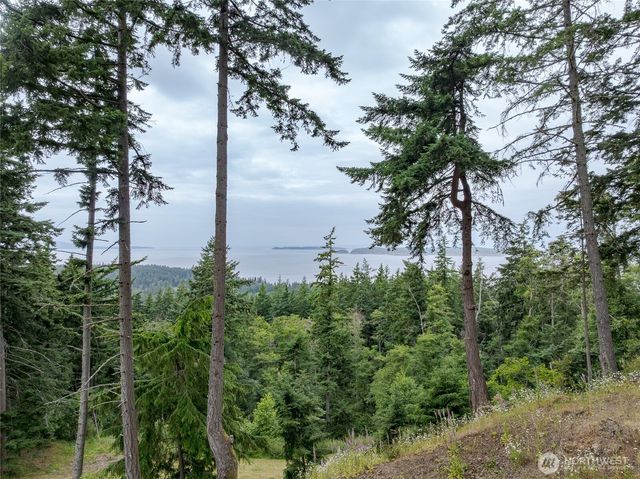 540 Wright Road, Orcas Island, WA 98245