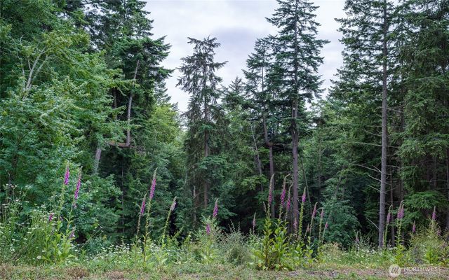 540 Wright Road, Orcas Island, WA 98245
