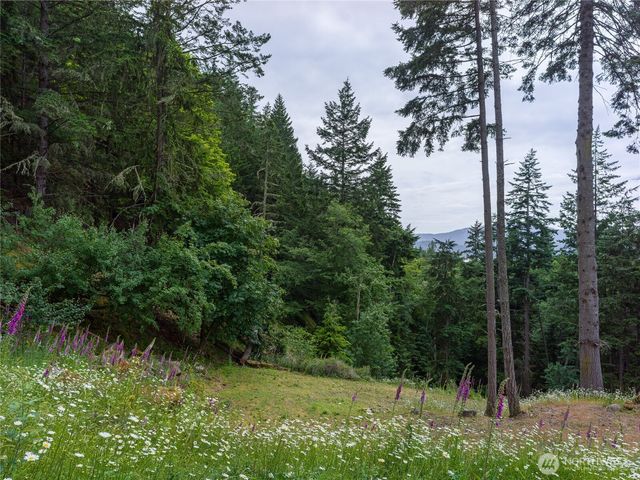 540 Wright Road, Orcas Island, WA 98245