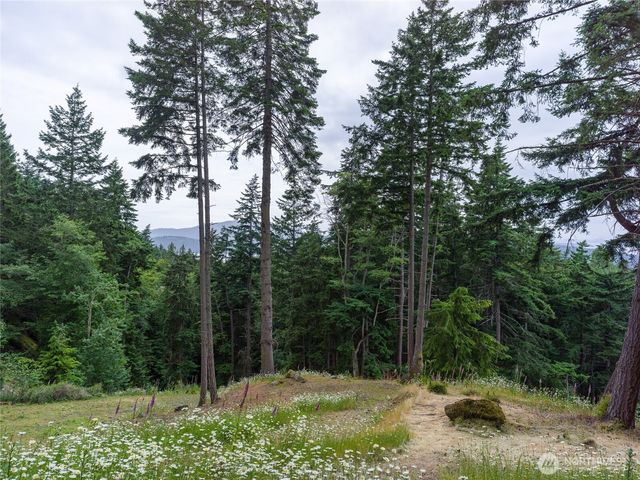 540 Wright Road, Orcas Island, WA 98245
