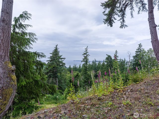 540 Wright Road, Orcas Island, WA 98245