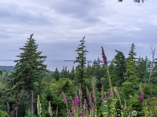 540 Wright Road, Orcas Island, WA 98245