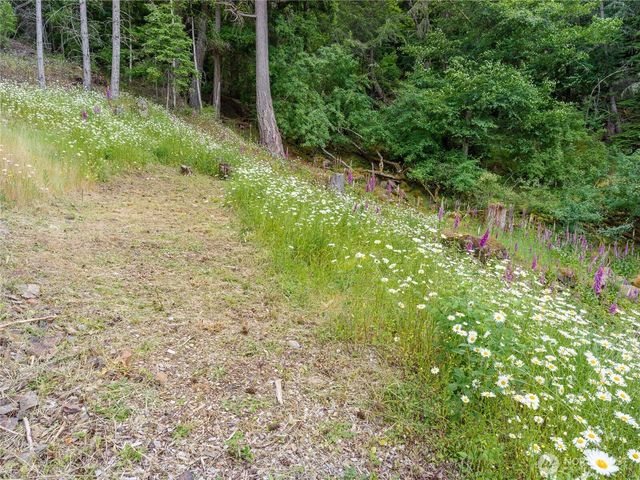 540 Wright Road, Orcas Island, WA 98245