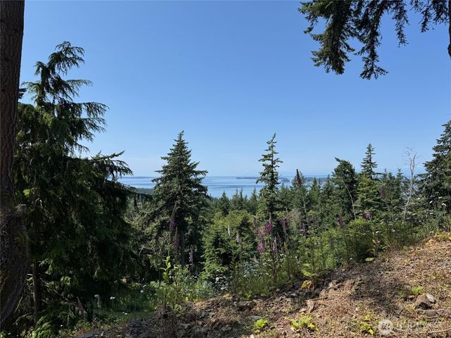 540 Wright Road, Orcas Island, WA 98245