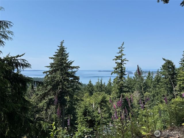 540 Wright Road, Orcas Island, WA 98245