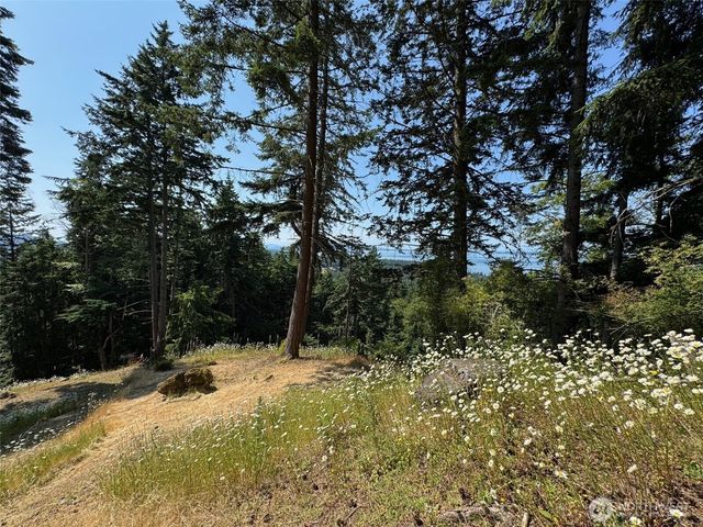 540 Wright Road, Orcas Island, WA 98245