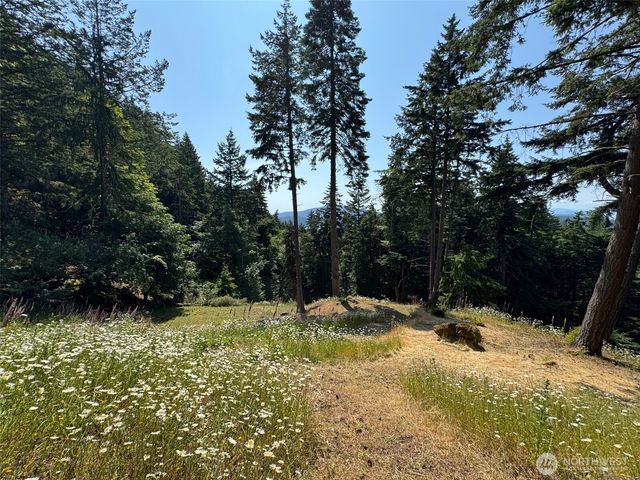 540 Wright Road, Orcas Island, WA 98245
