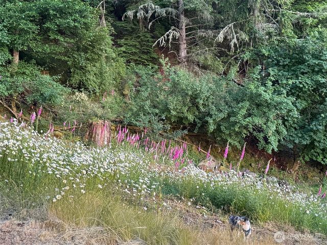540 Wright Road, Orcas Island, WA 98245