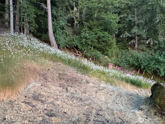 540 Wright Road, Orcas Island, WA 98245