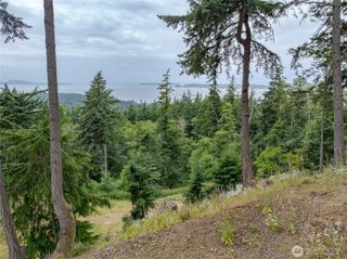 540 Wright Road, Orcas Island, WA 98245