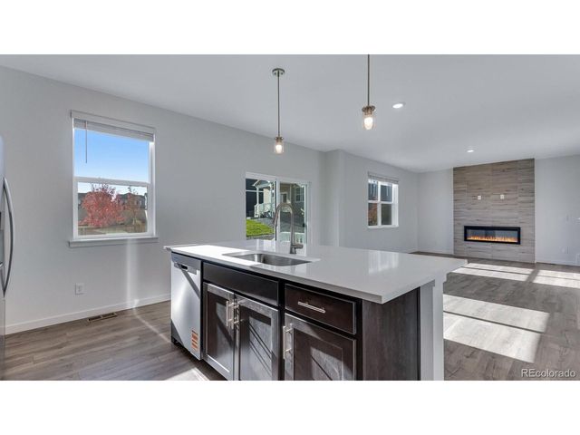 14254 Beebalm Ave, Parker, CO 80134