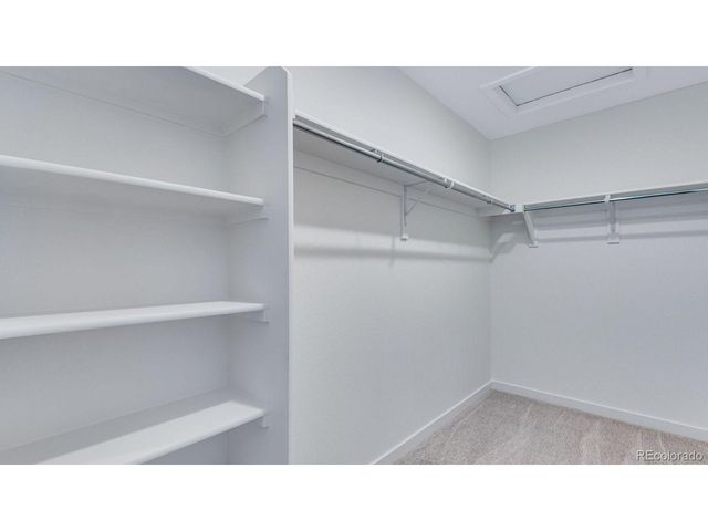 14254 Beebalm Ave, Parker, CO 80134